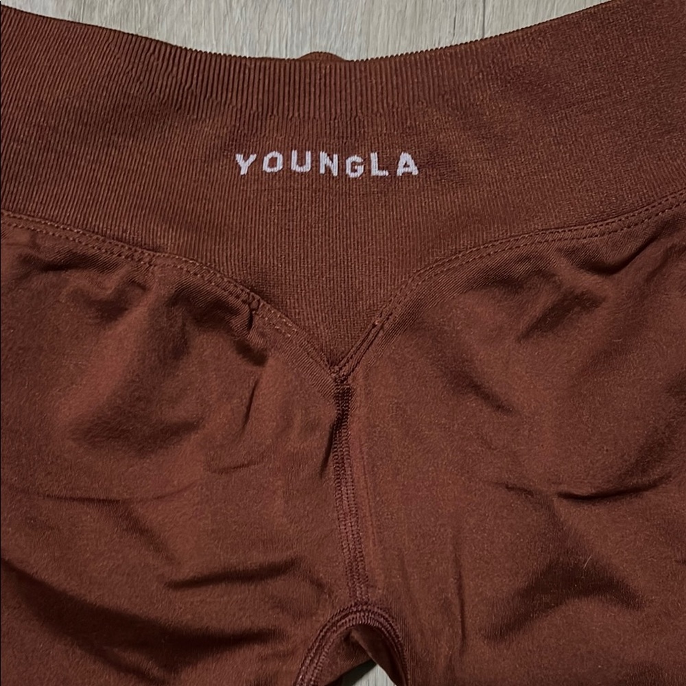 YoungLA Deep Brown Leggings